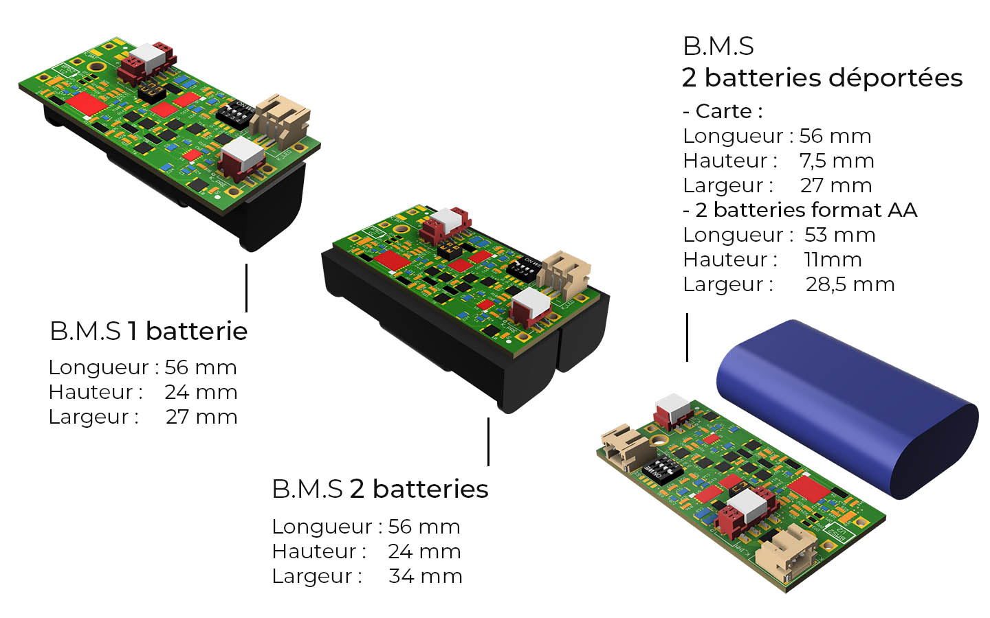 systeme bms Vaudoo audio
